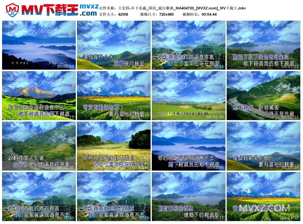 王宏伟-乡下亲戚_国语_流行歌曲_MA404720